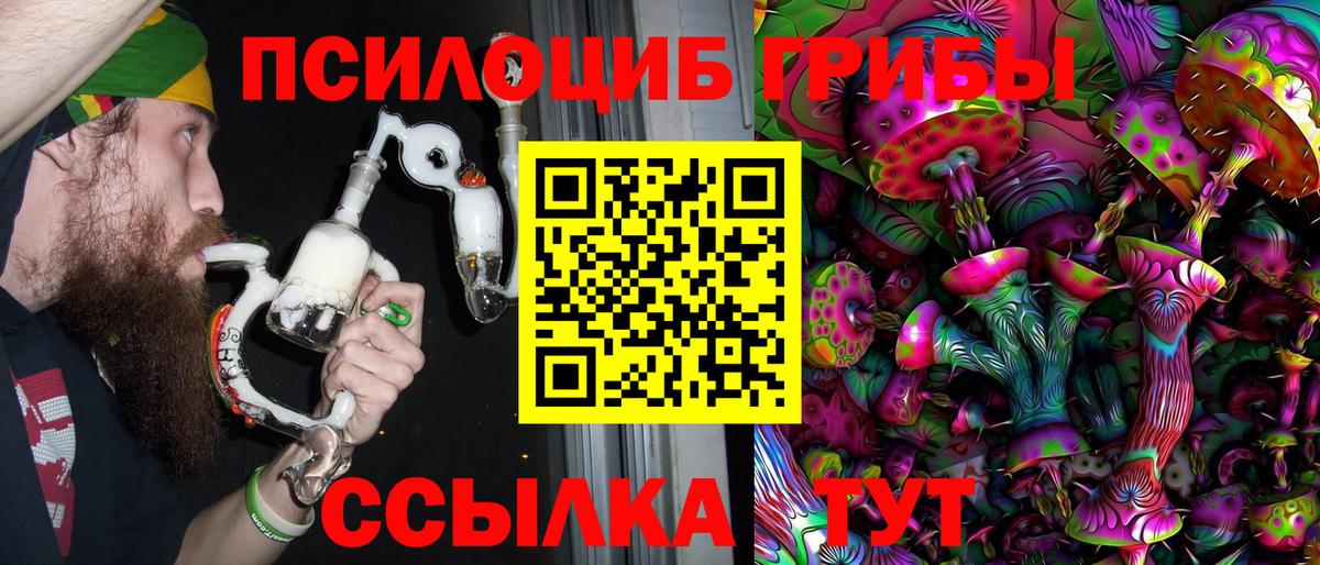 Галлюциногенные грибы Psilocybine cubensis  Вход с VPN  Кумертау  Псилоцибиновые грибы Psilocybe 